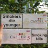 Thuốc Lá CASTER 5 ( Duty Fee Vn) ( Hàng Chuẩn + Date Mới )
