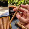 Xì gà Cohiba Club