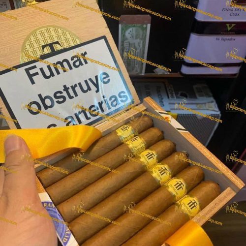 Xì gà TRINIDAD REYES BOX 12