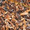 dunhill_nightcap_50g_3_ml