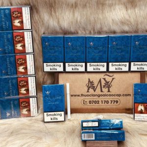 thuoclangoaicaocap com 7 - Shehuayan | 专营高端进口香烟与雪茄